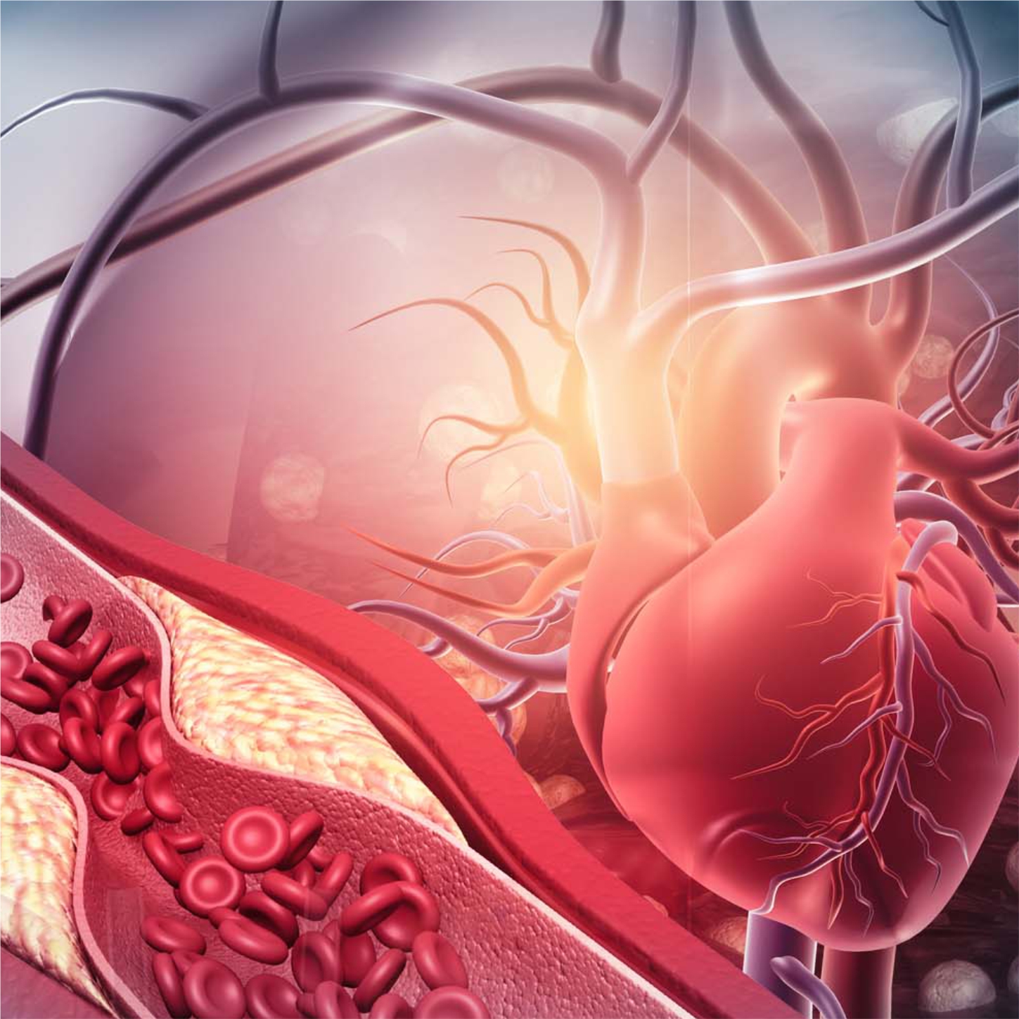 Vascular Surgery