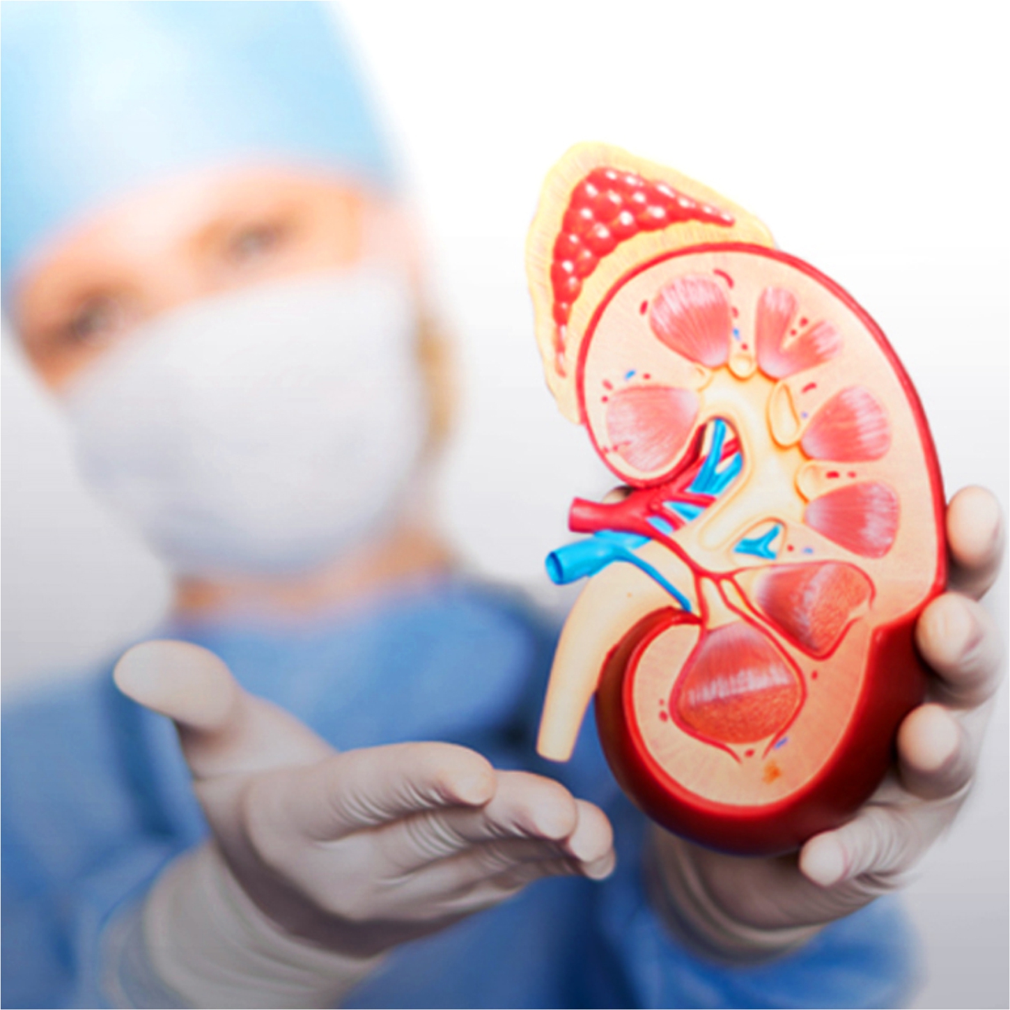 Nephrology