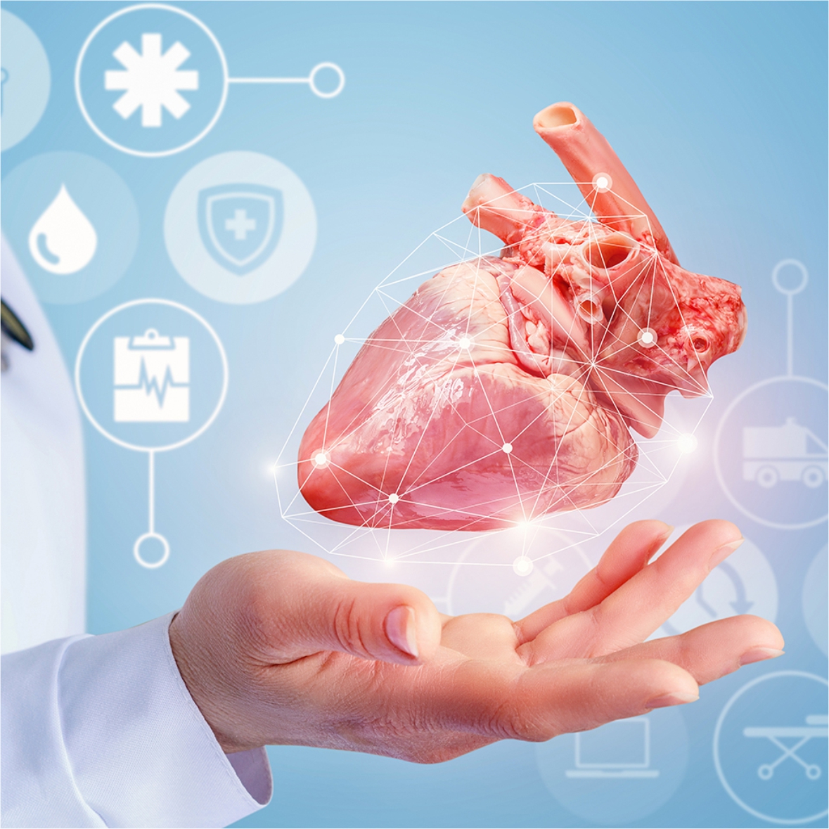 Cardiology